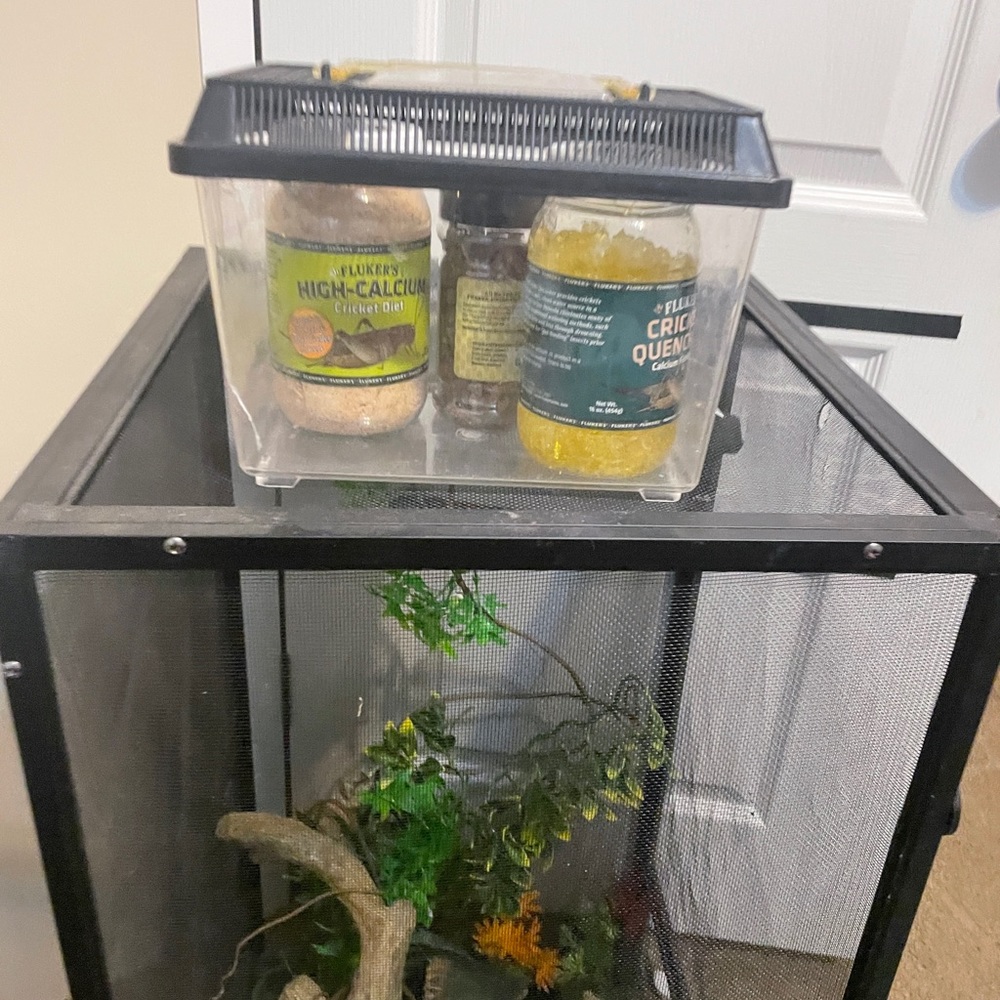 Everything needed to bring home your new reptile - Custom Package Discounts - Picture 2 of 2
